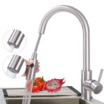 Robinet de cuisine avec douchette