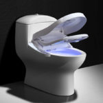 Wc japonais
