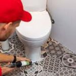 changement wc complet